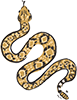 Snake