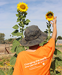 Child reaching for sunflower at TVF