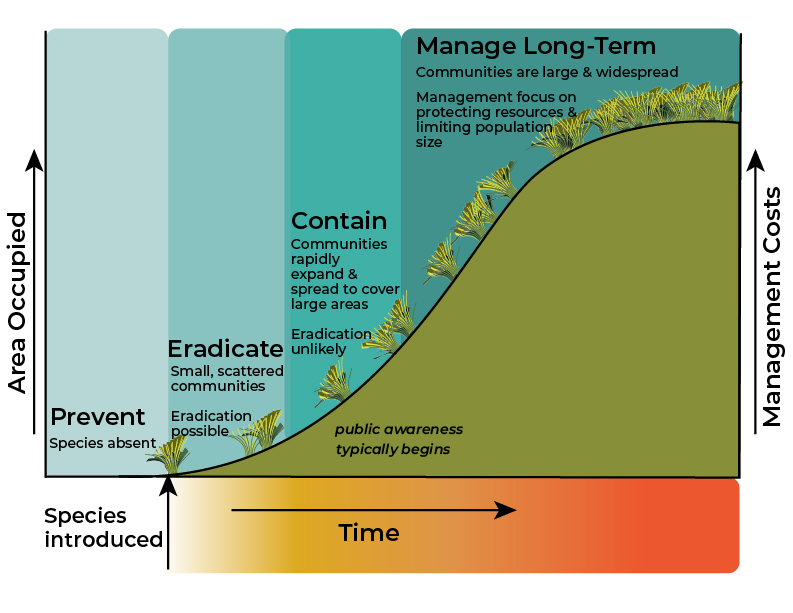 Figure 1.&nbsp;The invasion curve. Adapted from Invasive Plants and Animals Policy Framework, State of Victoria, Department of Primary Industries, 2010.